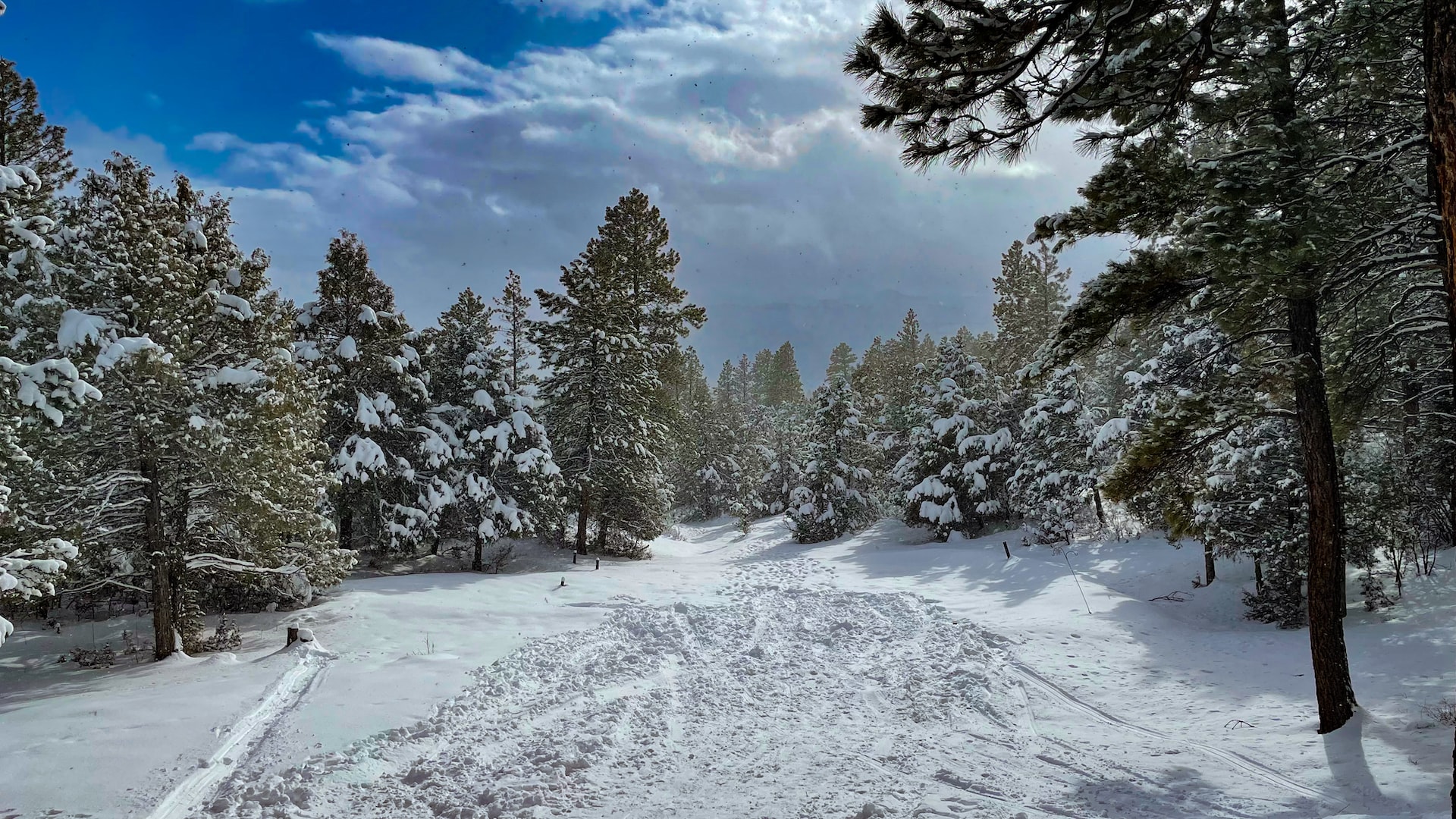 Winter time in Durango Colorado
